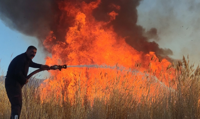 Erçek Gölü Sazlığında Yangın