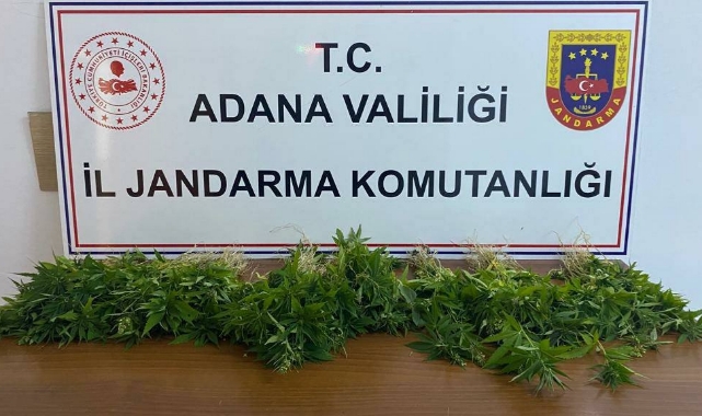 Jandarmadan ''Huzur Ve Güven'' Operasyonu