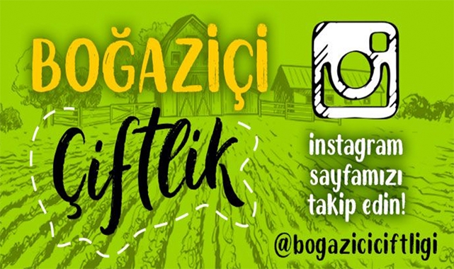 Köy Tavuğu ve Organik Besinler