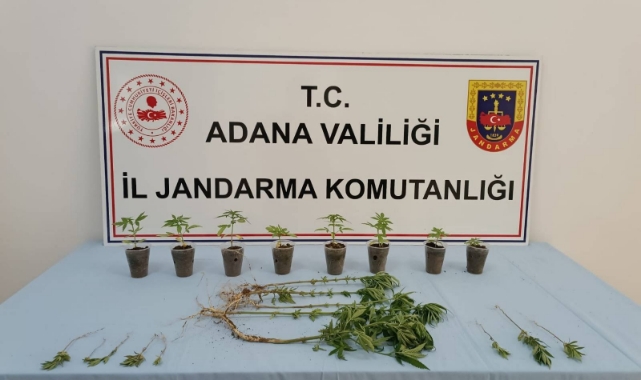 Adana'da Uyuşturucu Operasyonu