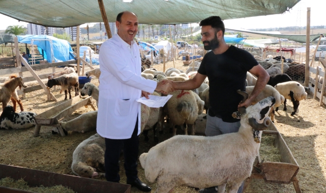 Adana’ya 30 Bin Hayvan Getirildi