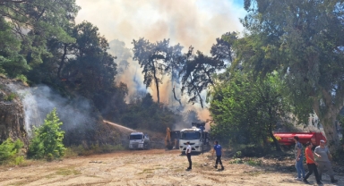 Antalya'da Orman Yangını