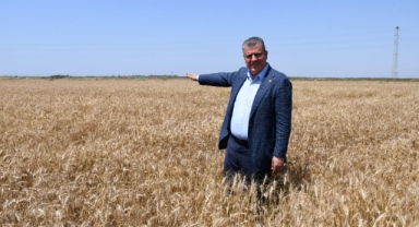Ayhan Barut'tan Buğday Taban Fiyatına Sert Tepki!