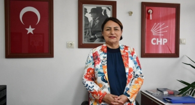 CHP'li Şevkin'den ''19 Yeni İl'' Eleştirisi