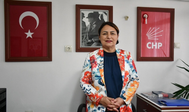 CHP'li Şevkin'den ''19 Yeni İl'' Eleştirisi