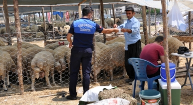 Çukurova’da Kurban Satış Yerleri Belirlendi