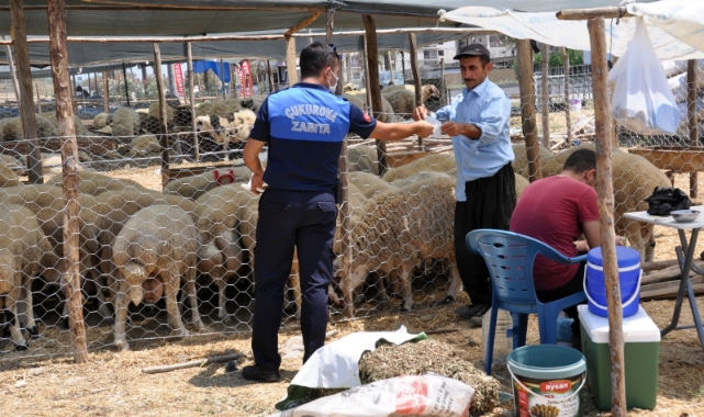 Çukurova’da Kurban Satış Yerleri Belirlendi