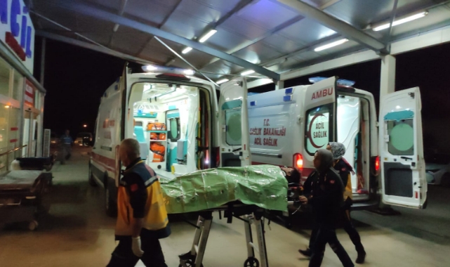 Hafif Ticari Araç Devrildi:7 Yaralı
