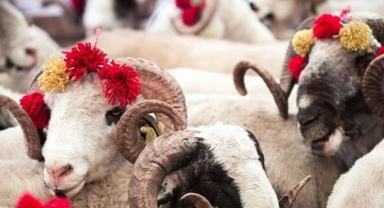 Kurbanlık Fiyatları Açıklandı