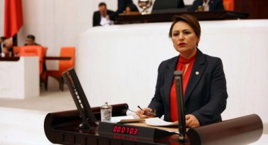 Müzeyyen Şevkin, Kamu Mühendislerinin Sesini Meclise Taşıdı