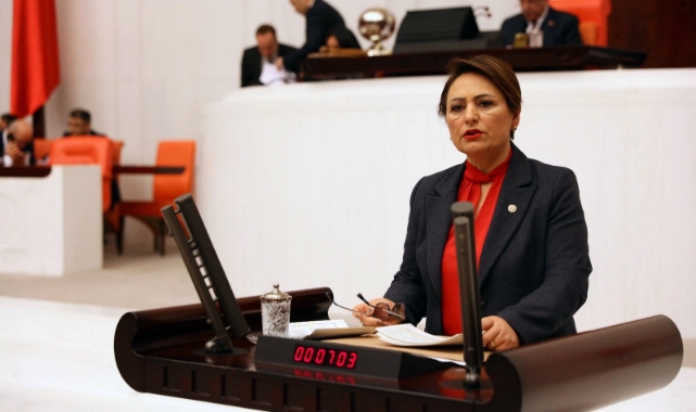 Müzeyyen Şevkin, Kamu Mühendislerinin Sesini Meclise Taşıdı