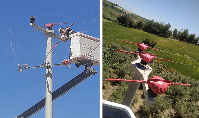 Toroslar EDAŞ Hatlarını Yalıttı, Kuşlar Kanatlarını Hayata Çırptı