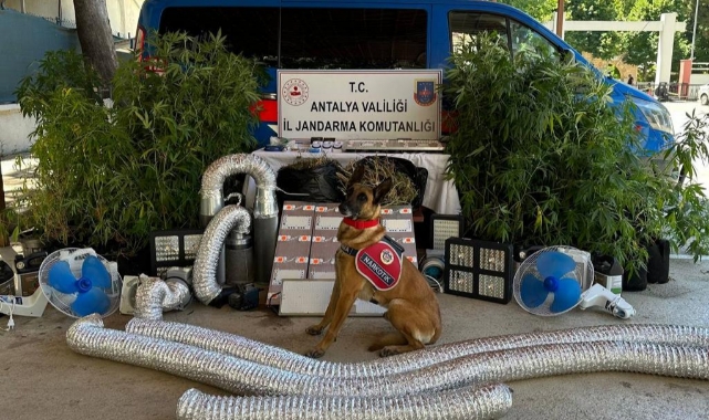 Uyuşturucu Operasyonu