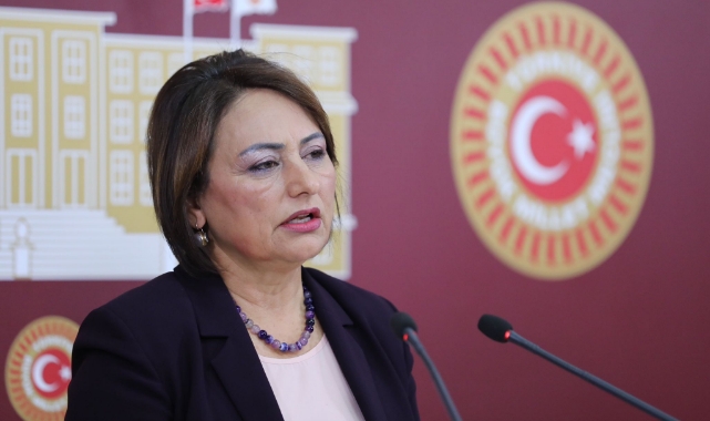 “27.5 Milyon Kişide Silah Var!”