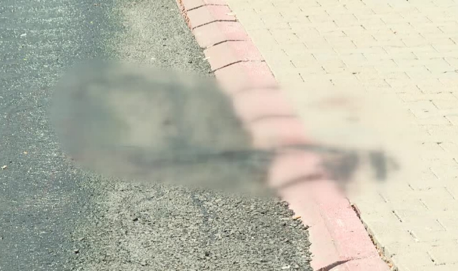 Eşini Öldürüp İntihar Etti