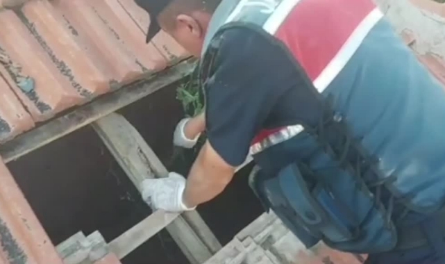 Evin Çatısında Kenevir Kurutmuş