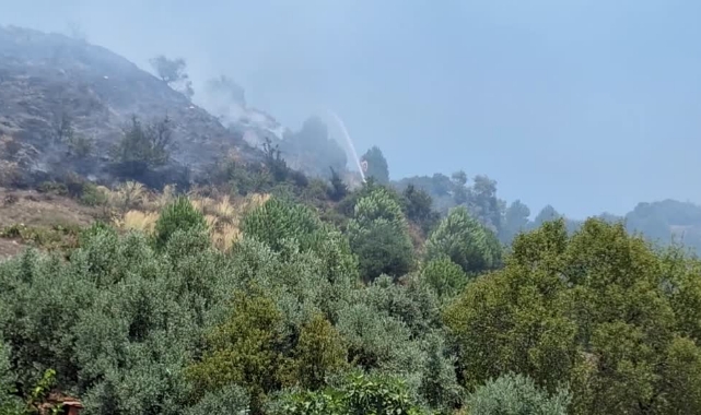 Manisa'da Orman Yangını