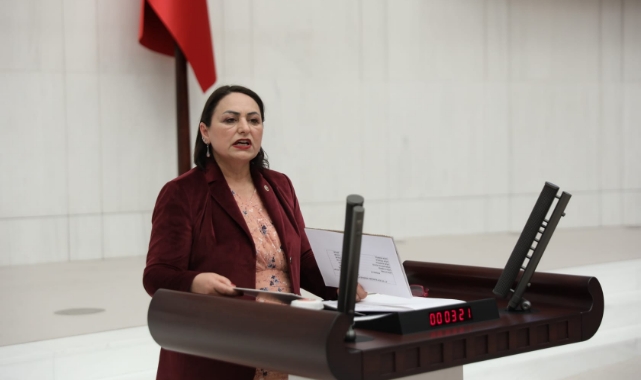 Şevkin:''İktidar, Adana'yı Kaderine Terk Etti!''