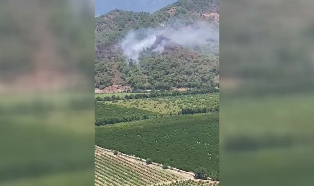 Ormanlık Alanda Yangın
