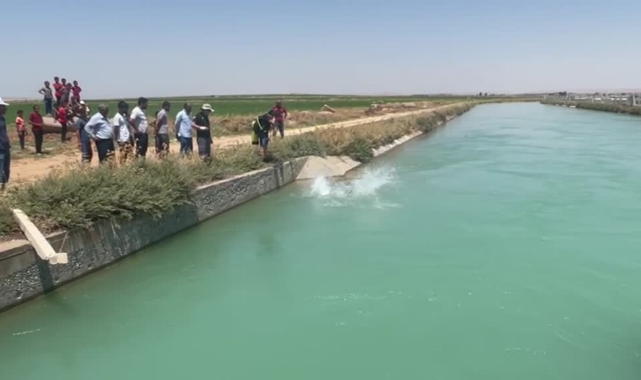 Otomobil, Sulama Kanalına Düştü