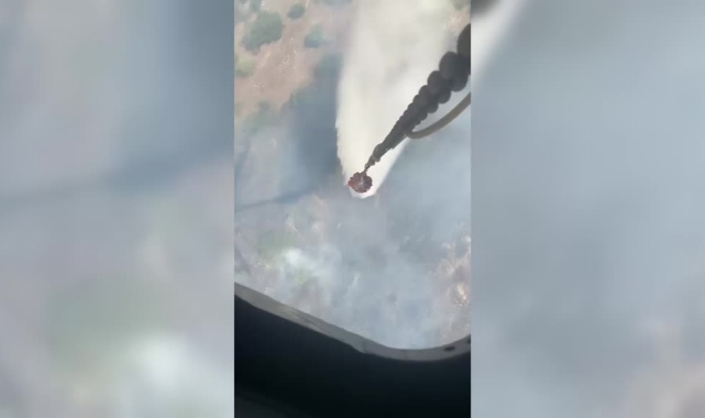 Tarlada Başlayan Yangın Ormana Sıçradı