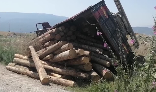 Tomruk Yüklü Kamyon Devrildi: 2 Yaralı