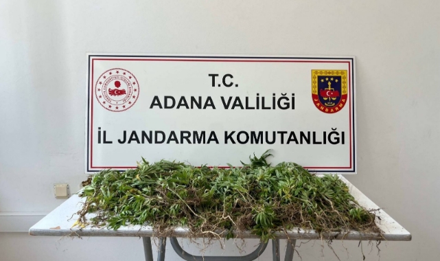 Uyuşturucu Operasyonu