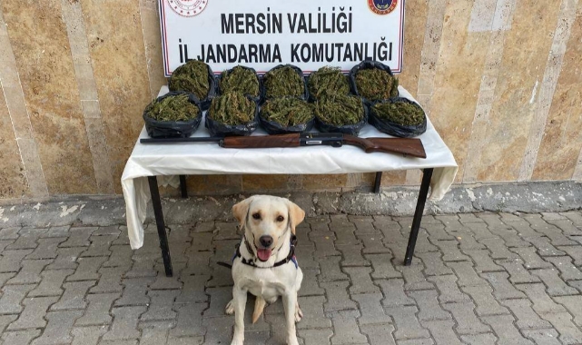 Uyuşturucu Operasyonu