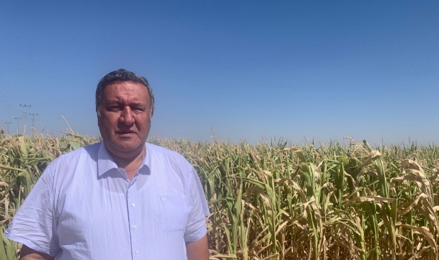 Gürer: &quot;Enflasyon Mısır Fiyatlarına Etki Etmedi&quot;