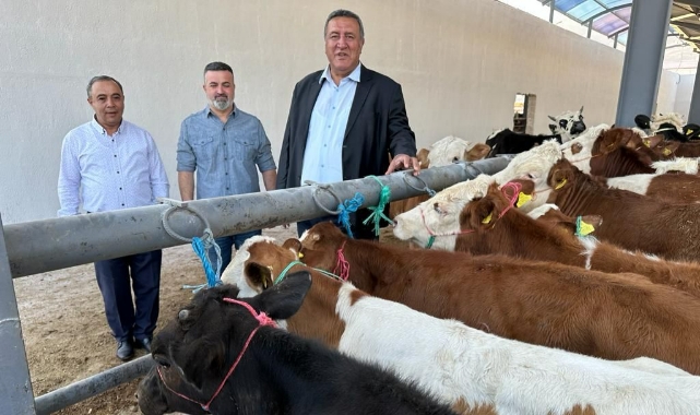 “Hayvancılığın Geleceği İçin Veteriner İşleri Genel Müdürlüğü Kurulmalı”