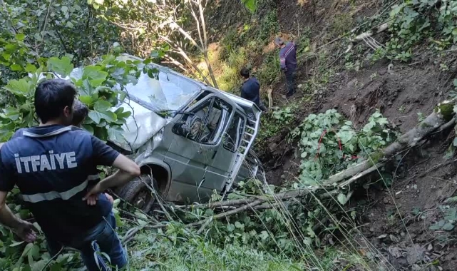 Kamyonet Uçuruma Yuvarlandı: 1 Ölü, 7 Yaralı