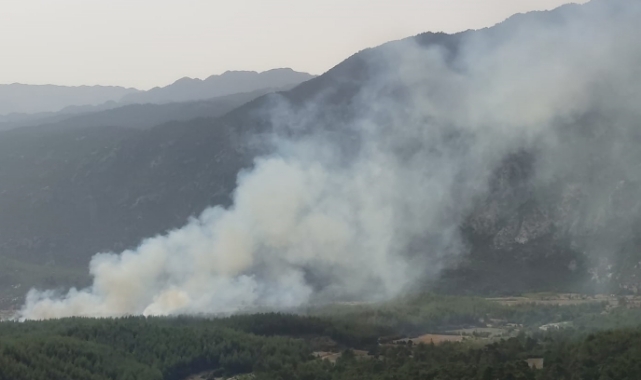 Manavgat&#039;ta Yine Orman Yangını