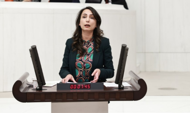 Mimar, Mühendis, Şehir Plancıların Talepleri Meclis Gündeminde