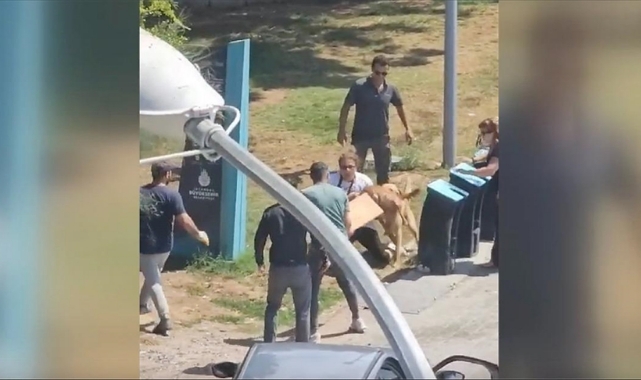 Moda Sahilinde Köpek Saldırısı
