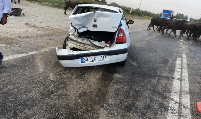 Otomobil Park Halindeki Tıra Çarptı