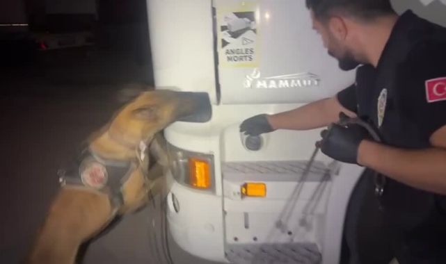 Tırda Uyuşturucu Ele Geçirildi