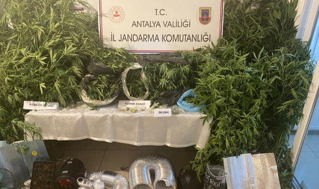 Uyuşturucu Operasyonu