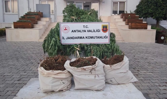 Uyuşturucu Operasyonunda 3 Kişi Yakalandı