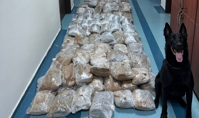 158 Kilogram Esrar Ele Geçirildi