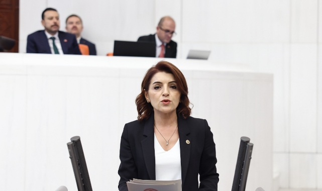 CHP&#039;li Kış:&#039;&#039;Depremzedelerin Ek Mtv Mağduriyetine Son Verin&#039;&#039;