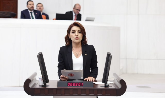 CHP Milletvekili Kış:“Bakanlar, TBMM’nin İradesini Yok Sayıyor”