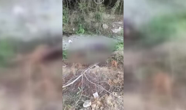 Dere Kenarında Kadın Cesedi Bulundu
