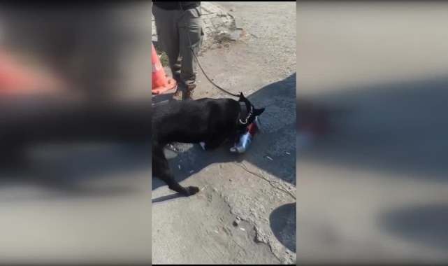 Elektrikli Süpürgeye Saklı Uyuşturucu Bulundu