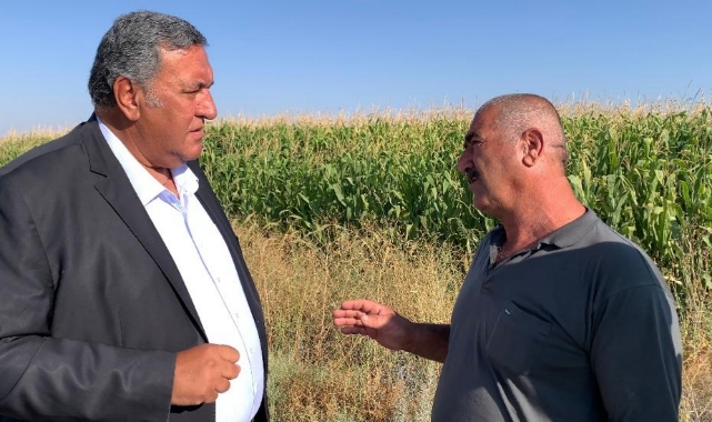 Gürer: ''Mısır Taban Fiyatı Çiftçiyi Mutlu Etmedi