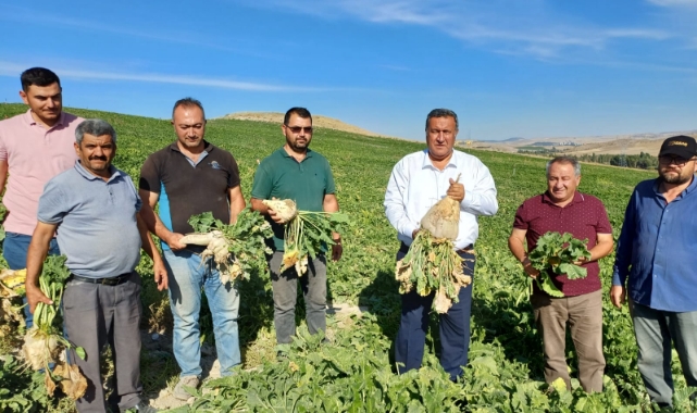 Gürer: “Pancar Alım Kampanyası Başladı, Taban Fiyat Hala Açıklanmadı”