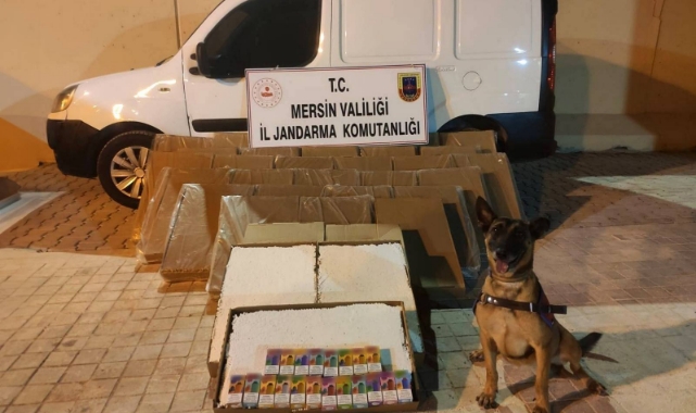 Kaçakçılık Operasyonu