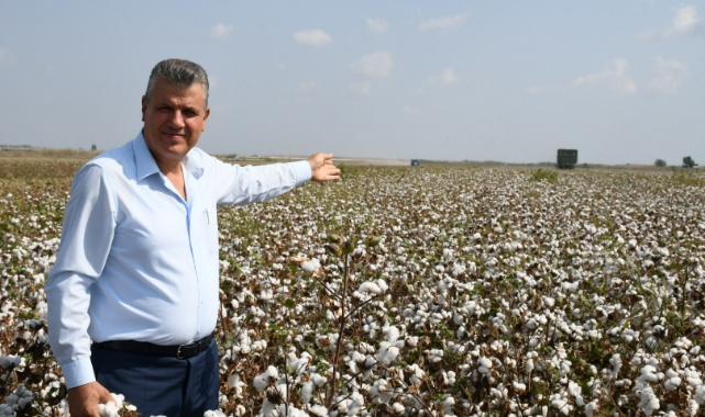 "Maliyetler Artarken Pamuk Fiyatları Geriliyor"