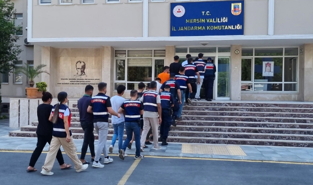 Sahte İlanla Dolandırıcılık Yapanlara Operasyon