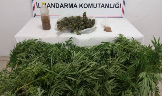 Uyuşturucu Baskını