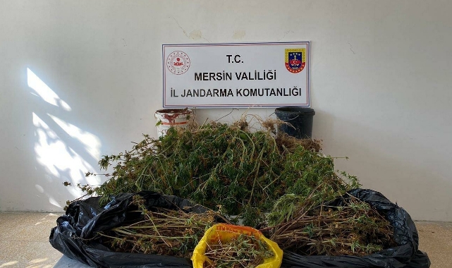 Uyuşturucu Operasyonu